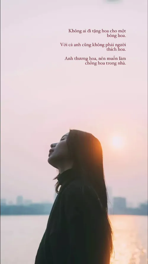 Không ai đi tặng hoa cho một bông hoa. Với cả anh cũng khôn