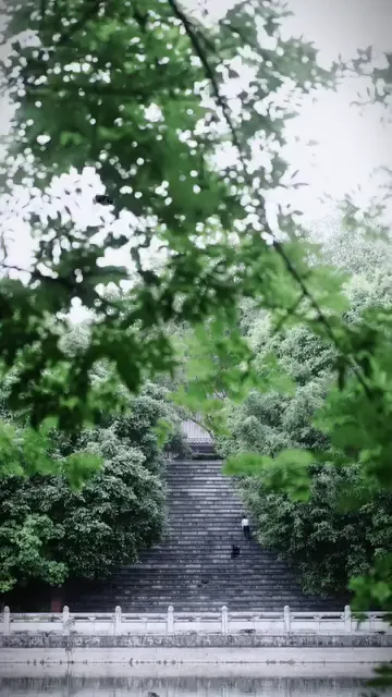 TỰ CHỌN